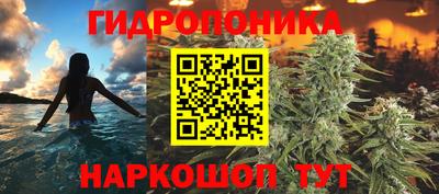 мяу мяу мука Новодвинск