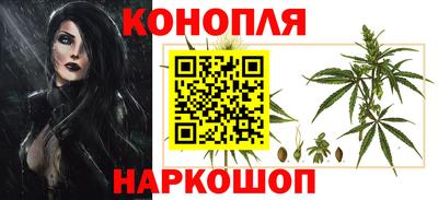 мяу мяу мука Новодвинск