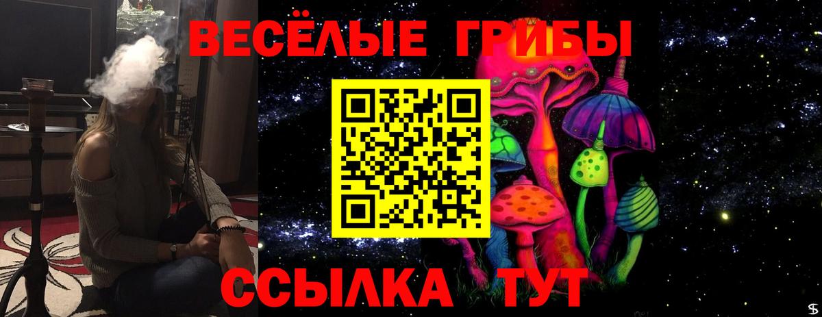 Псилоцибиновые грибы Psilocybine cubensis  Галлюциногенные грибы мухоморы  Вход с VPN  Сыктывкар 